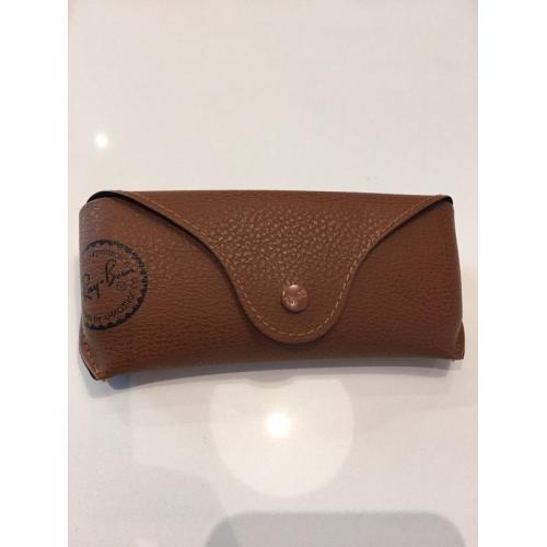 Ray Ban 4221 Sunglasses