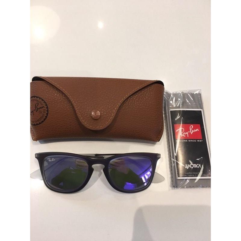 Ray Ban 4221 Sunglasses