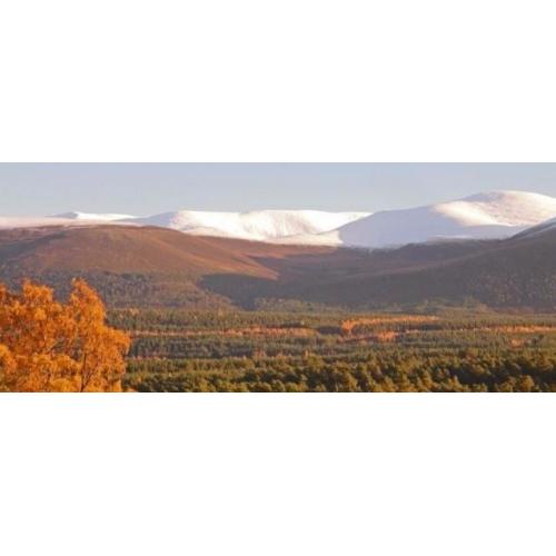Aviemore Holiday Park Caravan for Hire Anytime this Winter / Dalraddy Holiday Park