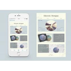 Graphic Designer: | Branding | Logos | Websites | Flyers & more