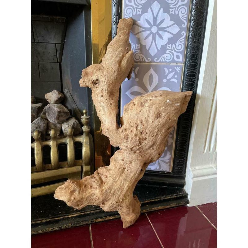Bog wood (large piece)