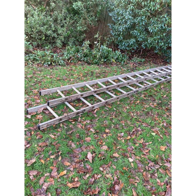 Double ladder set