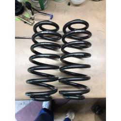 Eibach pro springs