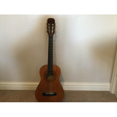 Acoustic Guitar