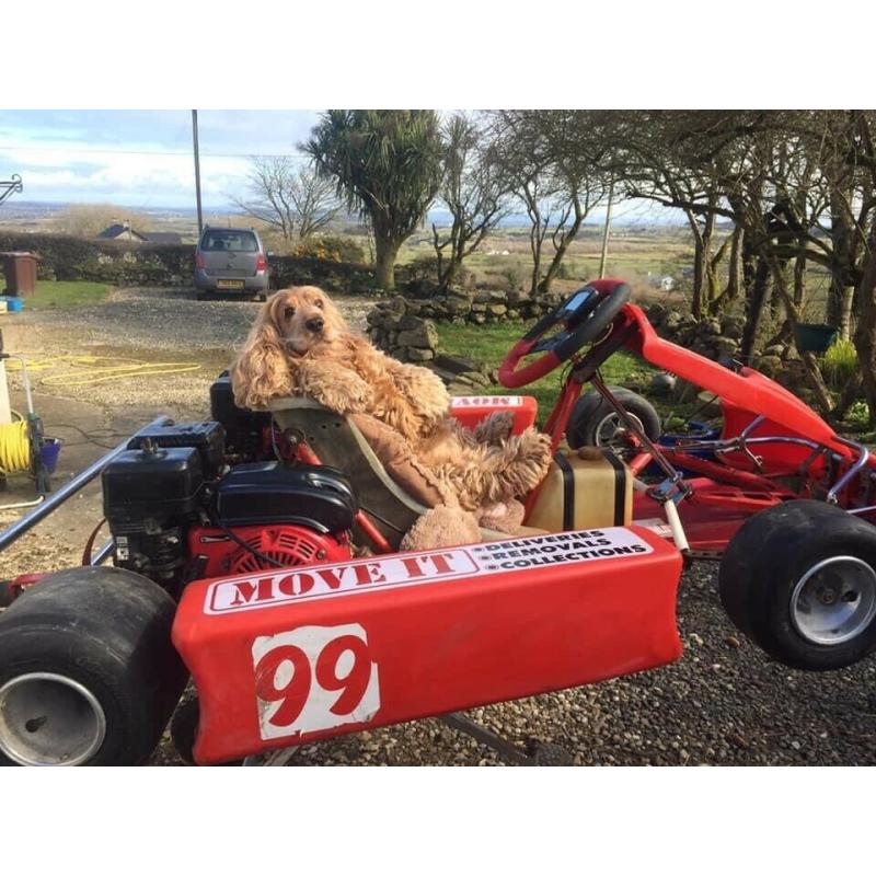 Racing Kart/Swiss Hutless