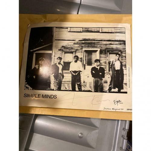 Simple minds signed
