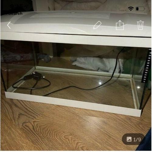 Aquael Ledsy 60 Fish Tank and Equipment