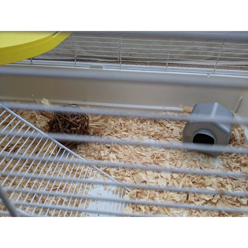 Large cage for Hamster, guinea pig etc.