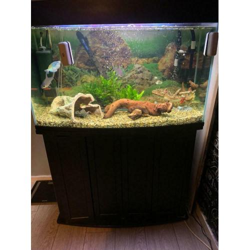 Fish tank