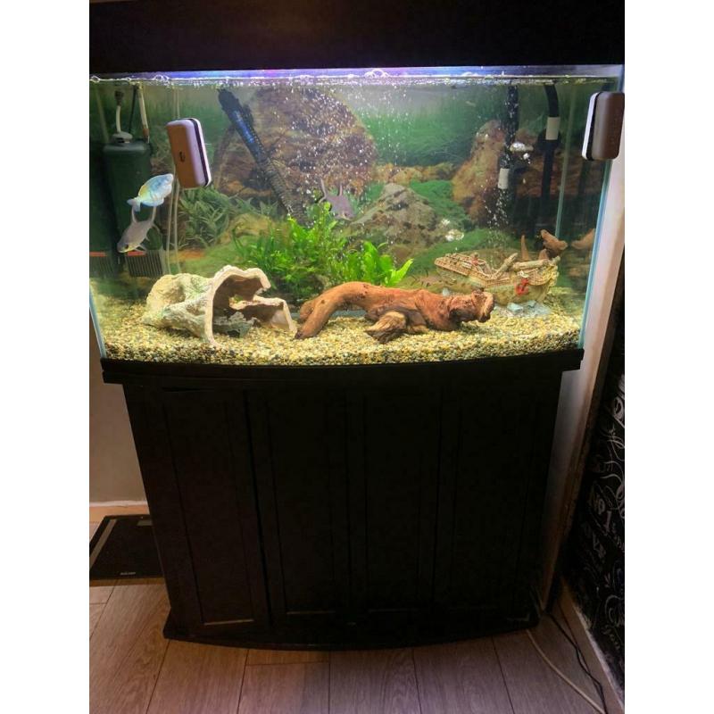 Fish tank