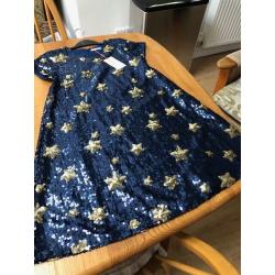 Girls Sparkly Dress (Brand New) Age 10 years