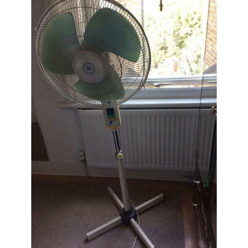 Fan