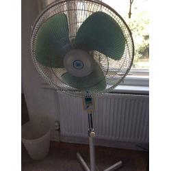Fan