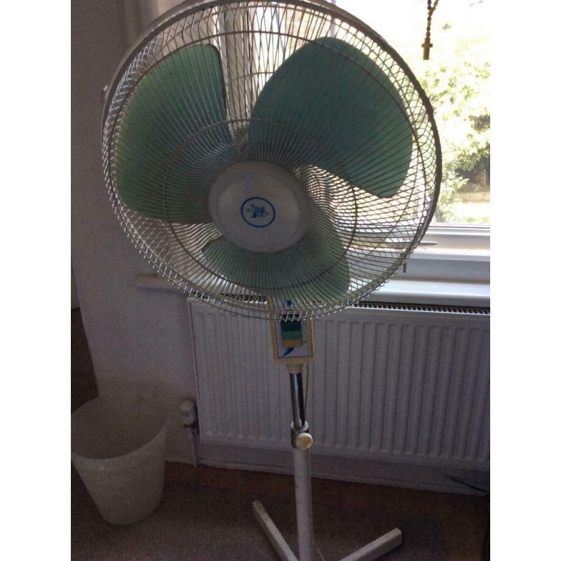 Fan
