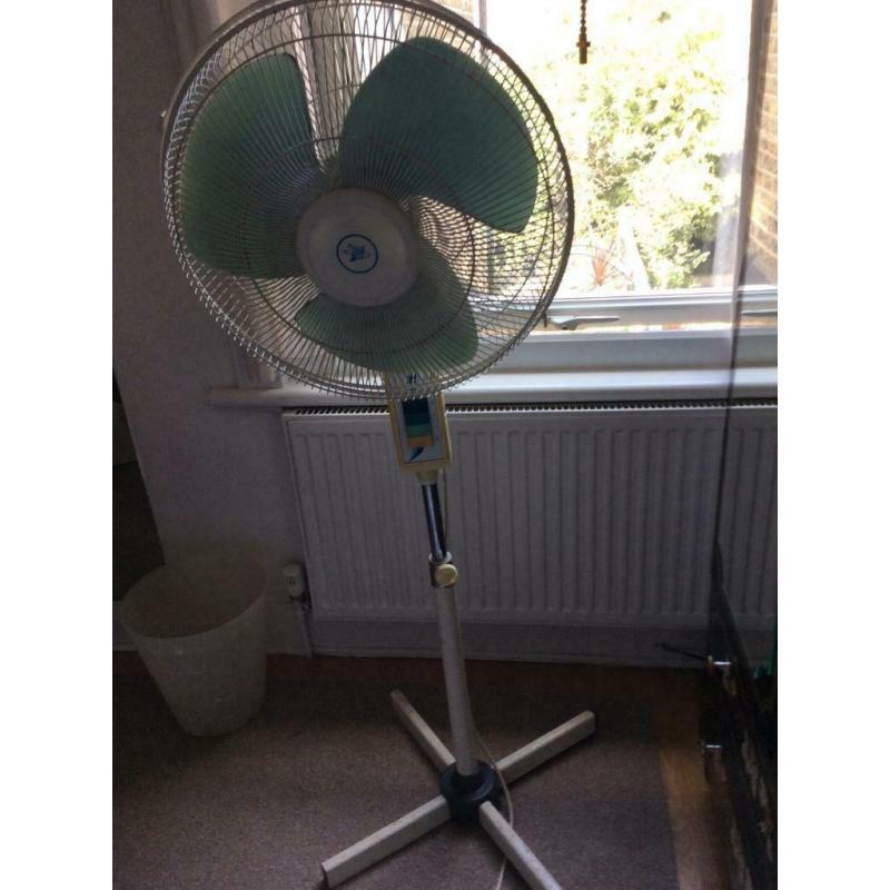 Fan