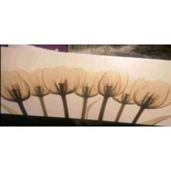 Large Tulip Brown Canvas Print