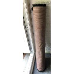 Kaydee Black Rug