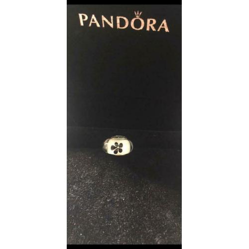 Pandora charms