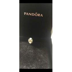Pandora charms