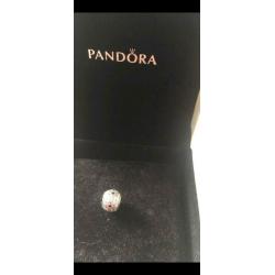 Pandora charms