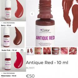 Permanent lip pigments