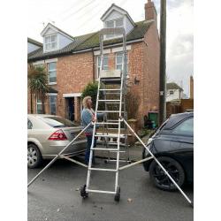 Platform ladder for exterior decorating or tree work