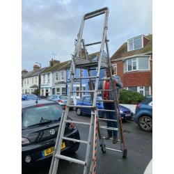 Platform ladder for exterior decorating or tree work