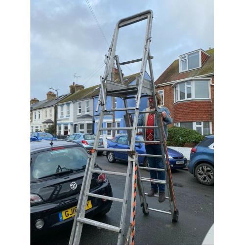 Platform ladder for exterior decorating or tree work