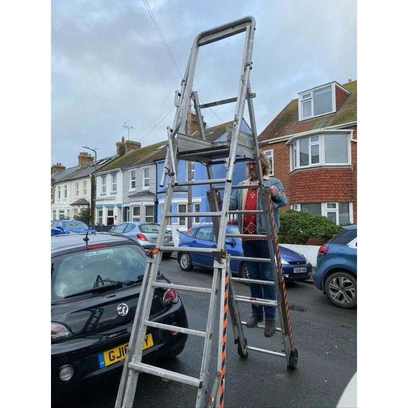 Platform ladder for exterior decorating or tree work