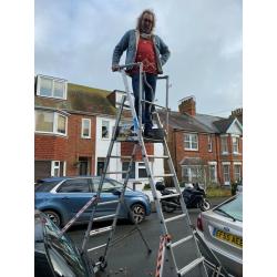 Platform ladder for exterior decorating or tree work