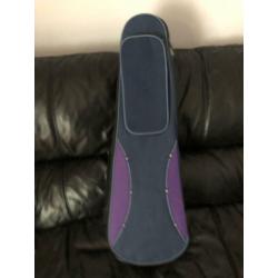 Violin & Case