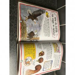 My first questions and answers book