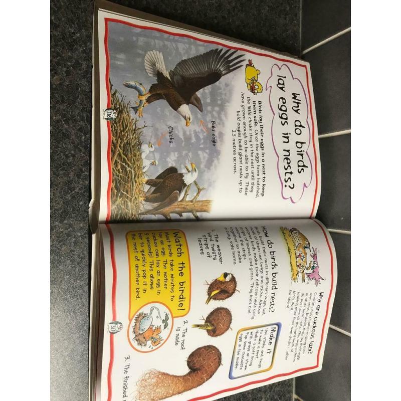My first questions and answers book