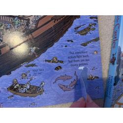 Pirates and castles books