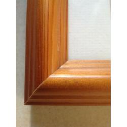 Pine pictue