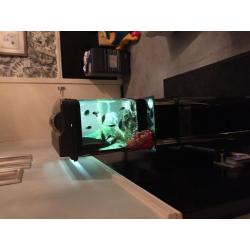Cheap fish tank for sale