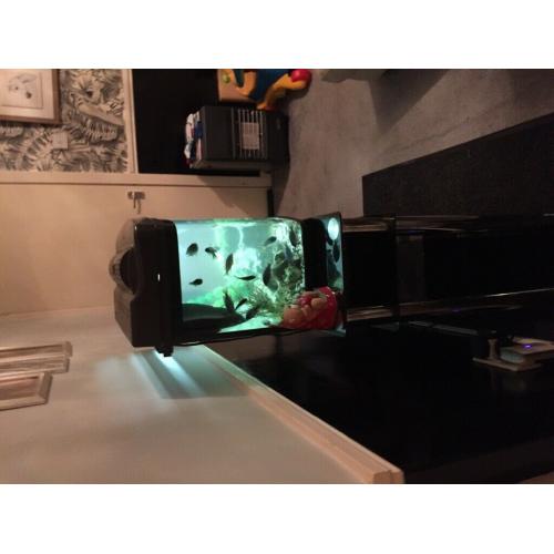 Cheap fish tank for sale
