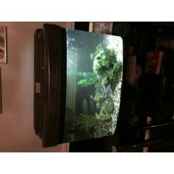 Cheap fish tank for sale