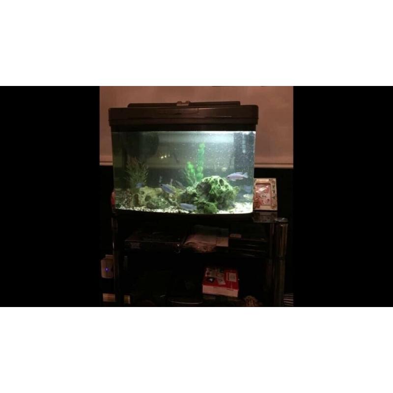 Cheap fish tank for sale