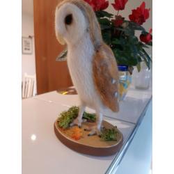 Felt crafted Barn Owl
