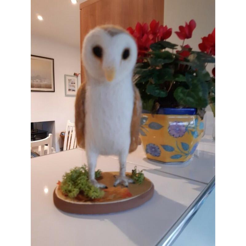 Felt crafted Barn Owl