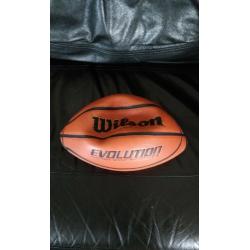 Wilson Evolution indoor-court basketball