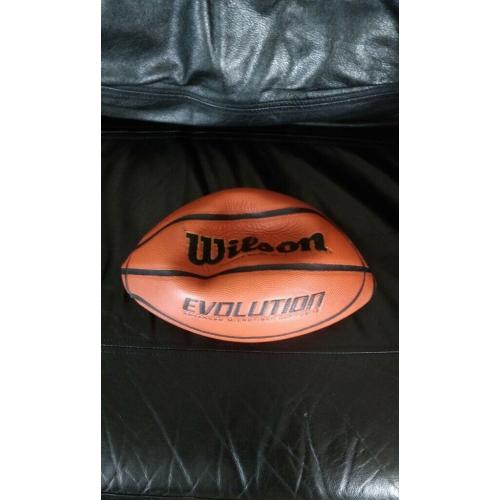 Wilson Evolution indoor-court basketball