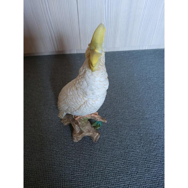 Lovely cockatoo porcelain 12 inches height . Vgc