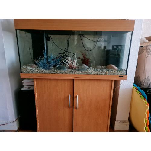 Juwel Aquarium