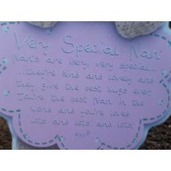 Special Nan Gift Frame